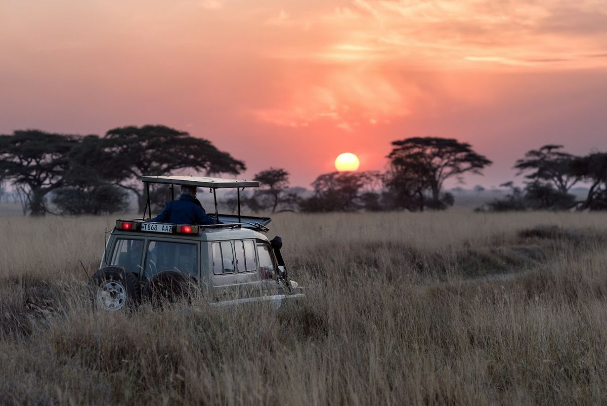 African safari vehicle on the savanna at sunset